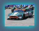 dbr 9 lm20050026.JPG